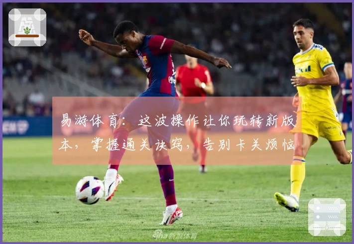 易游体育：这波操作让你玩转新版本，掌握通关诀窍，告别卡关烦恼！